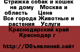 Стрижка собак и кошек на дому.  Москва и область.  › Цена ­ 1 200 - Все города Животные и растения » Услуги   . Краснодарский край,Краснодар г.